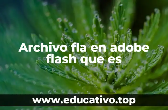 Archivo fla en adobe flash que es