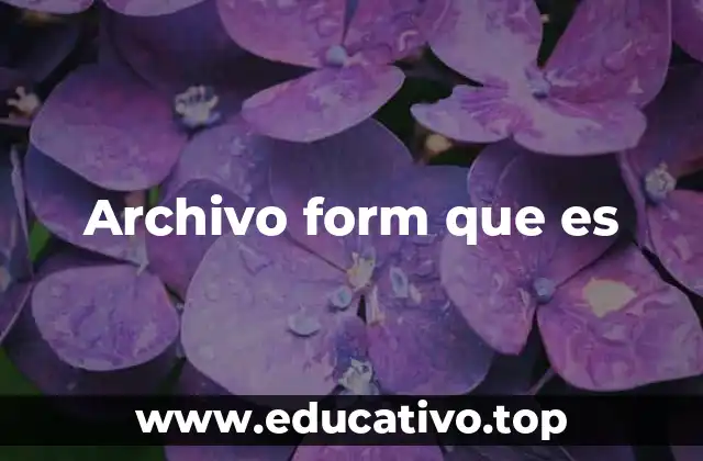 Archivo form que es