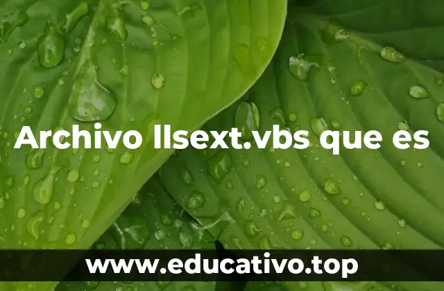 Archivo llsext.vbs que es