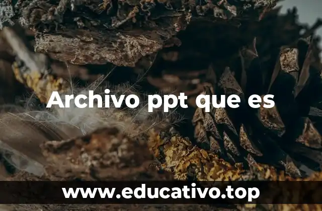 La importancia de los archivos de presentación en el ámbito profesional