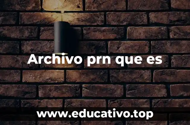 Archivo prn que es