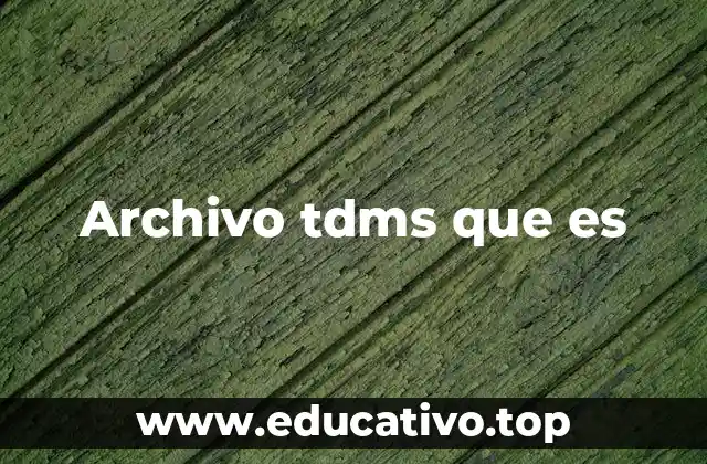 Archivo tdms que es