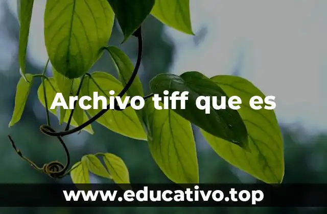 Archivo tiff que es
