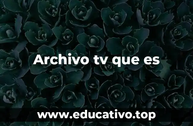 Archivo tv que es