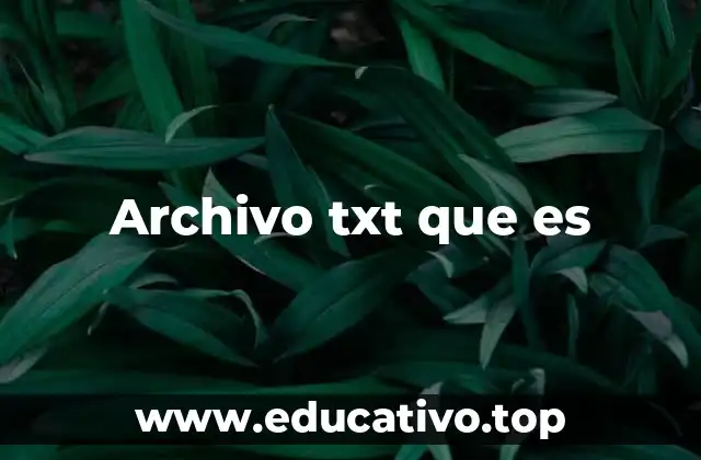 Archivo txt que es