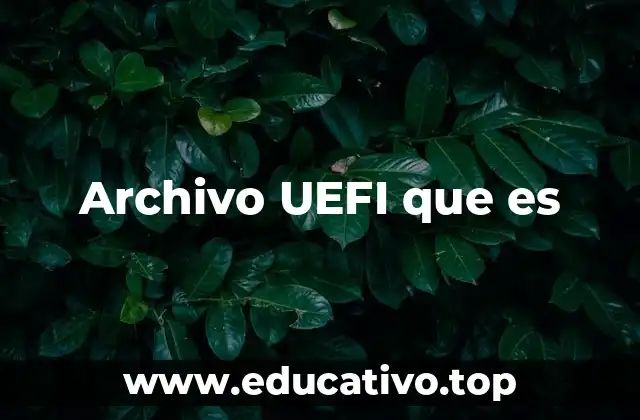 Archivo UEFI que es
