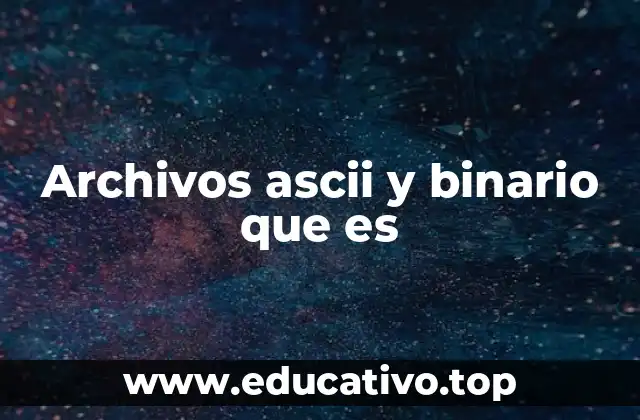 Archivos ascii y binario que es