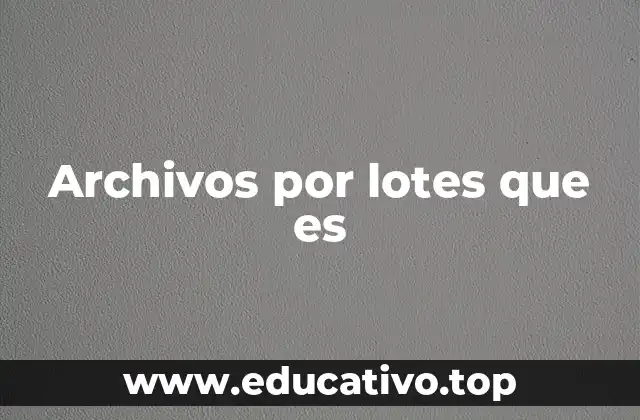 Archivos por lotes que es