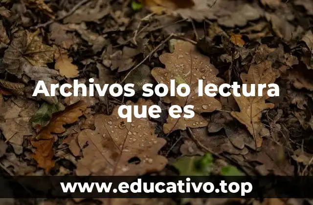 Archivos solo lectura que es