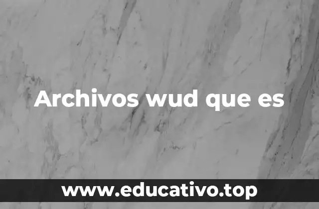 Archivos wud que es