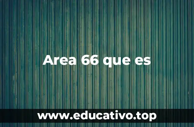 Area 66 que es