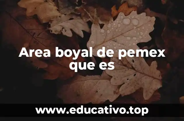 Area boyal de pemex que es