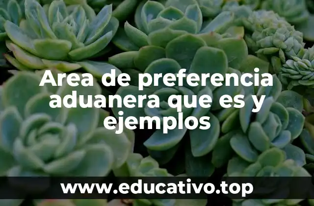 Area de preferencia aduanera que es y ejemplos