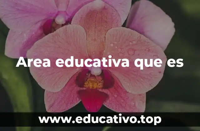 El rol del área educativa en la sociedad moderna