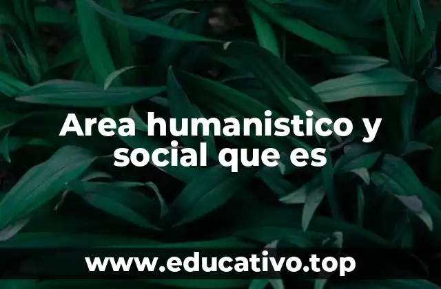 Area humanistico y social que es