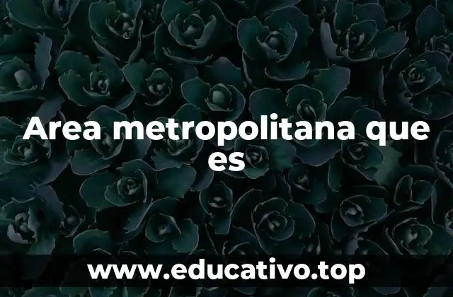 Area metropolitana que es