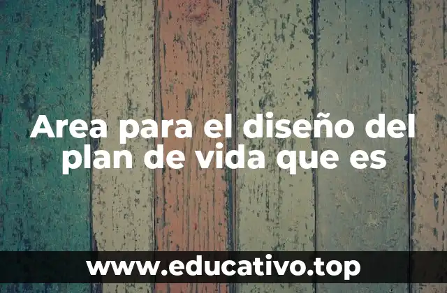 Area para el diseño del plan de vida que es
