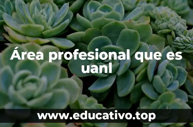 Área profesional que es uanl