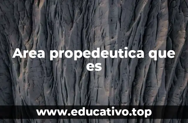 Area propedeutica que es