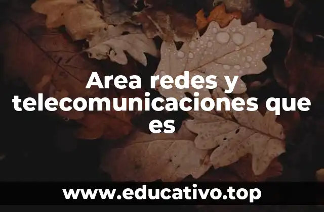 Area redes y telecomunicaciones que es