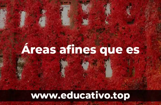 Áreas afines que es