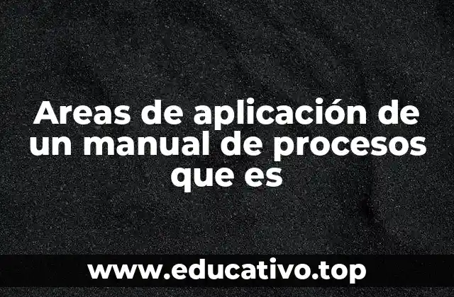 Areas de aplicación de un manual de procesos que es
