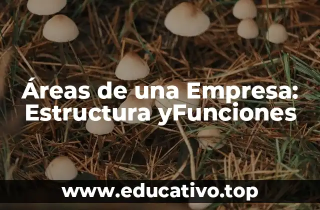 Áreas de una Empresa: Estructura yFunciones