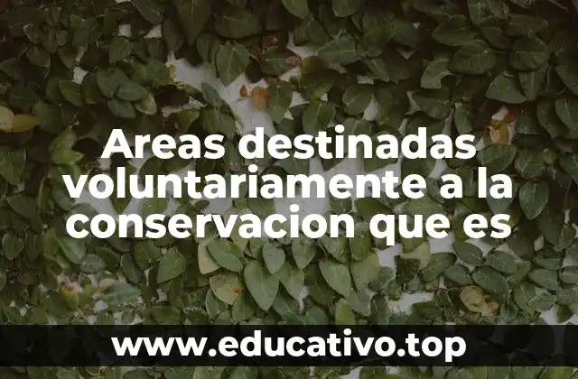 Areas destinadas voluntariamente a la conservacion que es