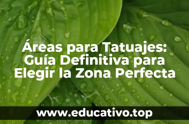 Áreas para Tatuajes: Guía Definitiva para Elegir la Zona Perfecta