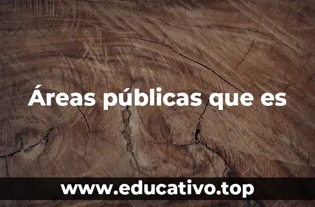 Áreas públicas que es