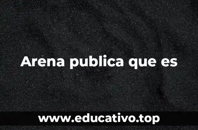 Arena publica que es