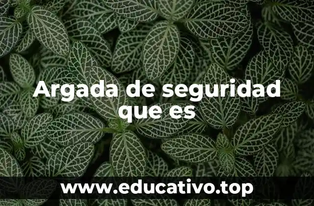 Argada de seguridad que es