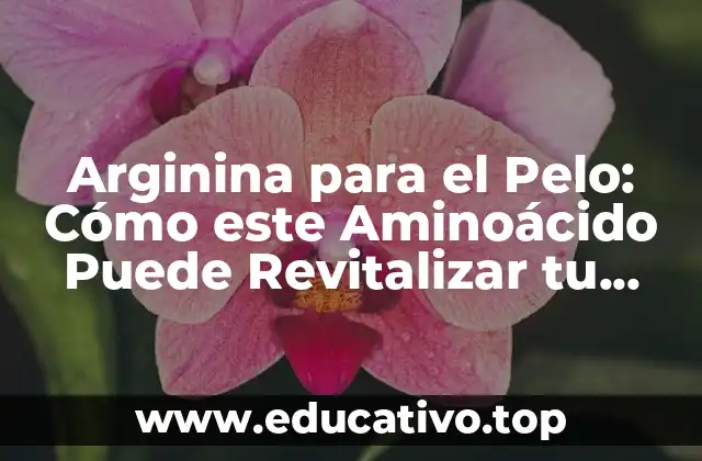 Arginina para el Pelo: Cómo este Aminoácido Puede Revitalizar tu Cabello