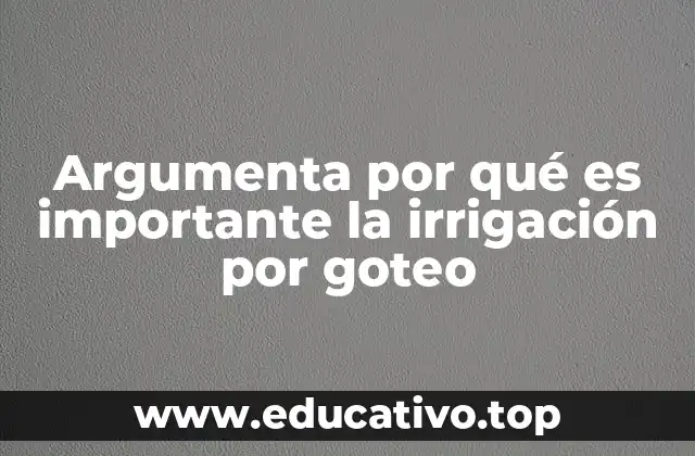 Argumenta por qué es importante la irrigación por goteo