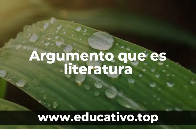 Argumento que es literatura