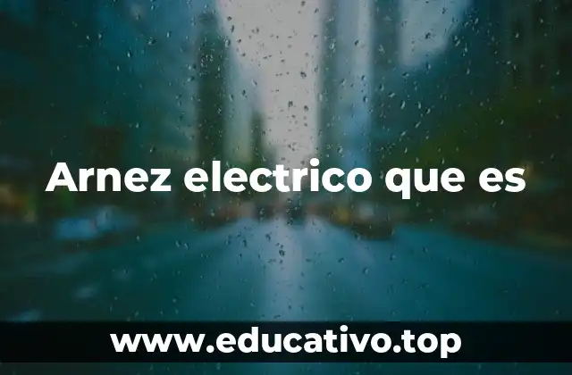 Arnez electrico que es