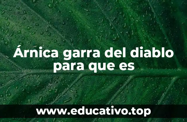 Árnica garra del diablo para que es