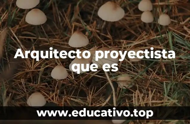 Arquitecto proyectista que es