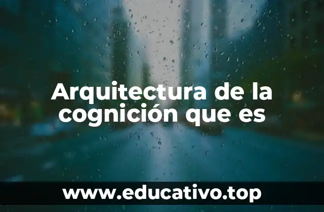 Cómo se estructuran los componentes de la cognición