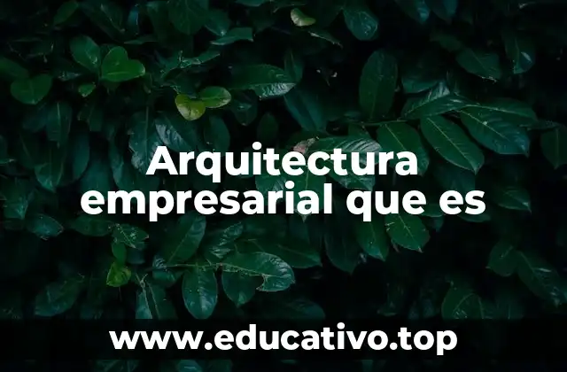 Arquitectura empresarial que es