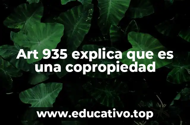 Art 935 explica que es una copropiedad