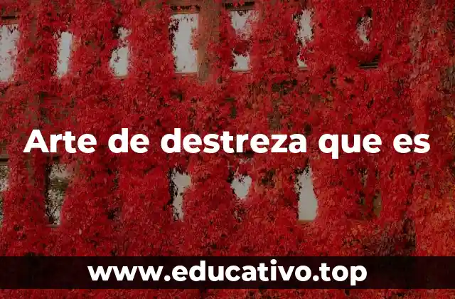 Arte de destreza que es
