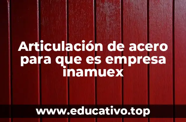 Articulación de acero para que es empresa inamuex