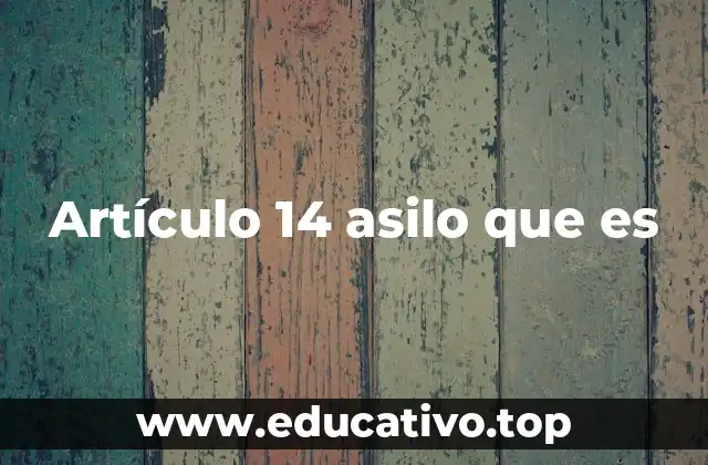 Artículo 14 asilo que es