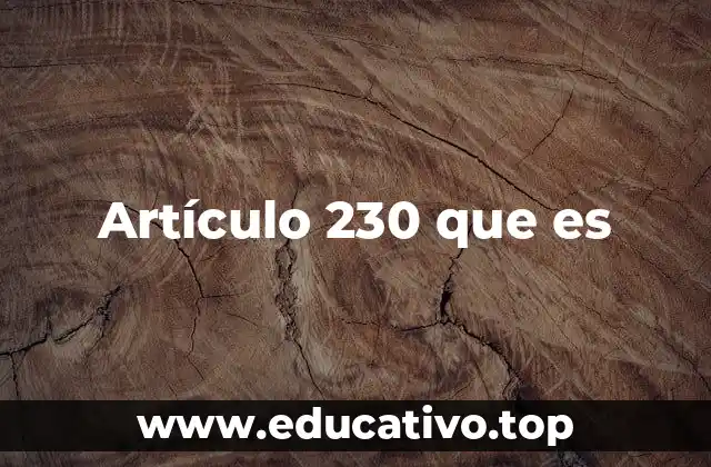 Artículo 230 que es