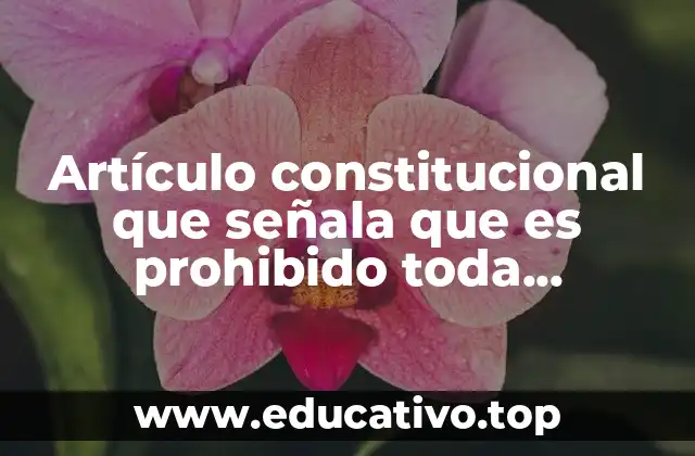 Artículo constitucional que señala que es prohibido toda discriminación