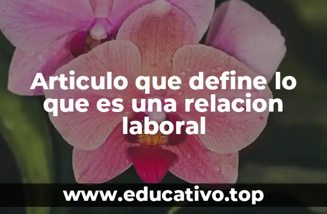 Articulo que define lo que es una relacion laboral