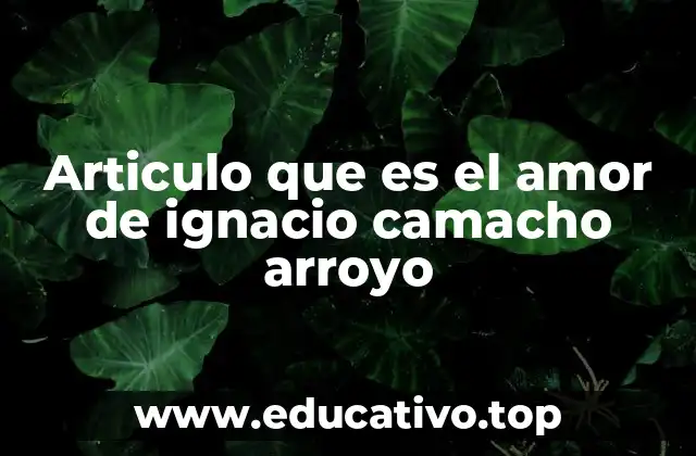Articulo que es el amor de ignacio camacho arroyo