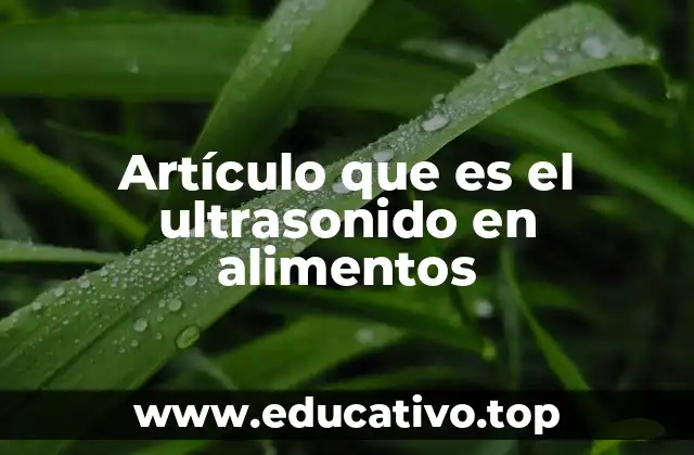 Artículo que es el ultrasonido en alimentos