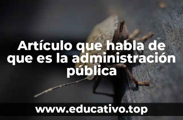 Artículo que habla de que es la administración pública